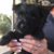 Beatrice Pacheco's profile image