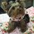 Kaye Humphrey Davidson's profile image