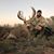 Jason Saiz's profile image