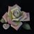 Janet Williams Byrd's profile image