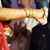 Iz Afshan's profile image
