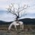 Vicki Raymond Masters's profile image