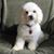 Patricia Alessandri's profile image