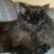 Kathryn Hayes Sparks's profile image