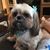 Tracy Blevins's profile image
