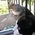 Kathleen Sullivan's profile image