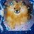 Sherry Myers's profile image
