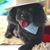 Tammy West Ainsworth's profile image