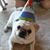 Mary Pusey's profile image