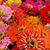 Amy Laxton's profile image