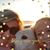 Kimberly Miller Edmondson's profile image