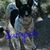Patricia Howard-Stout's profile image