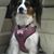 Caroline Herdle's profile image