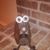 Terry Gonder's profile image