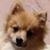 Archie Ackley's profile image