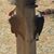 Ginger Schwanebeck's profile image