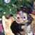 Cindy McGlynn's profile image