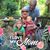 Jolynne Meseck's profile image