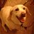 Brian Holst's profile image