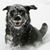Linda Biddle's profile image