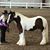Linda Hildebrant's profile image