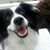 Phoebe Smoothcoatedtt's profile image