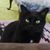 Matilda Hall's profile image