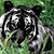 Valerie Johnson's profile image