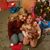 Chrissy Gibson Price's profile image