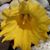 Kathie Mika-Robbins's profile image