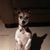 Sylvia Jean Mccoy's profile image