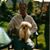 Tim Fisher's profile image