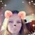 Tammy Gray's profile image