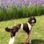 Valerie Reynolds's profile image