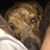 Roy Tusa's profile image