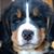 Dave Britt's profile image