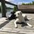 Cooper Donlin's profile image
