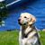 Julie Tucker's profile image