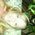 Brandi Brown's profile image