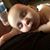 Jessica Balassone Pasco's profile image