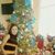 Donna Christine's profile image