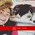 Kait Doyle's profile image