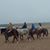 Susan Hickman's profile image