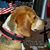Dawn Jay's profile image