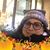 Carol Ann Lopez's profile image