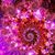 Cassie Saras-Boyer's profile image