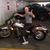 Armando Cavazos's profile image
