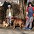 Linda Adams's profile image