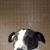 Kelly Carothers's profile image