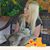 Carol Westin's profile image